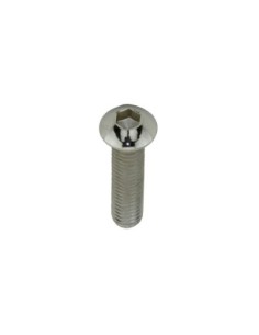 Brake Cantilever Mounting Bolt M6x25mm Chrome.